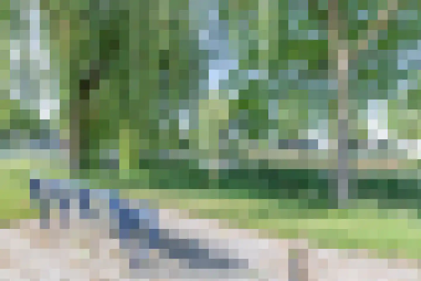 Nevelpanter 6 Heerhugowaard thumbnail 50