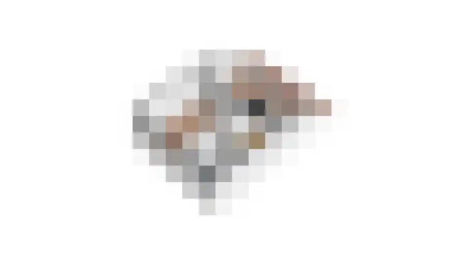 Nevelpanter 6 Heerhugowaard thumbnail 58