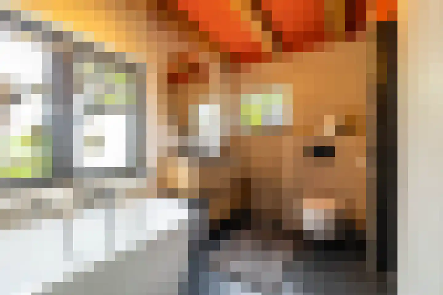 Nevelslaan 16 Westerbroek thumbnail 31