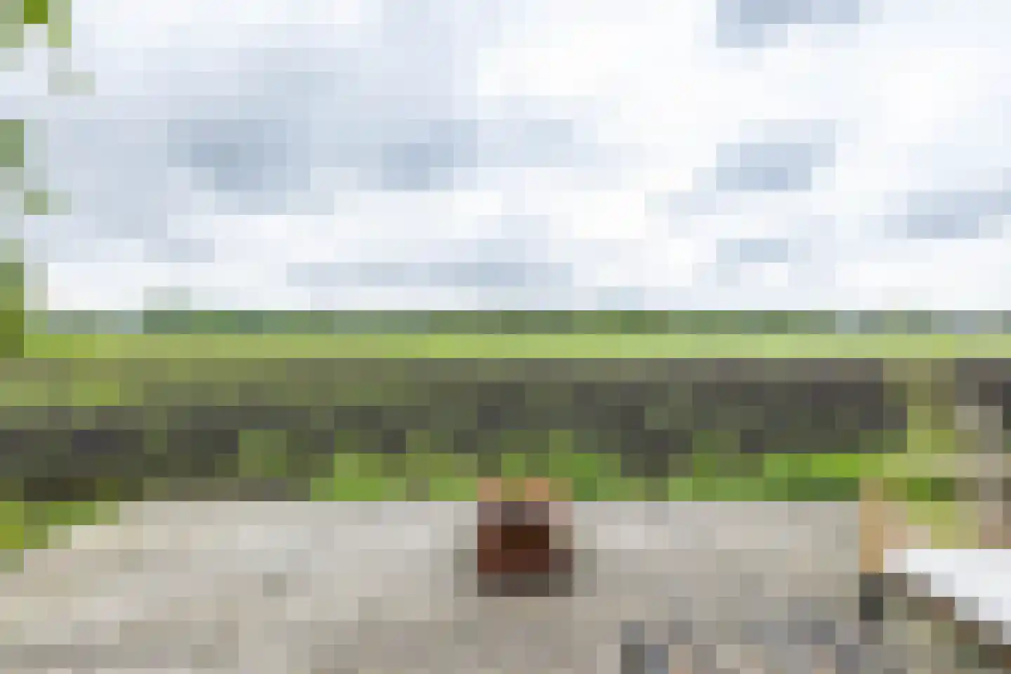 Nevelslaan 16 Westerbroek thumbnail 4