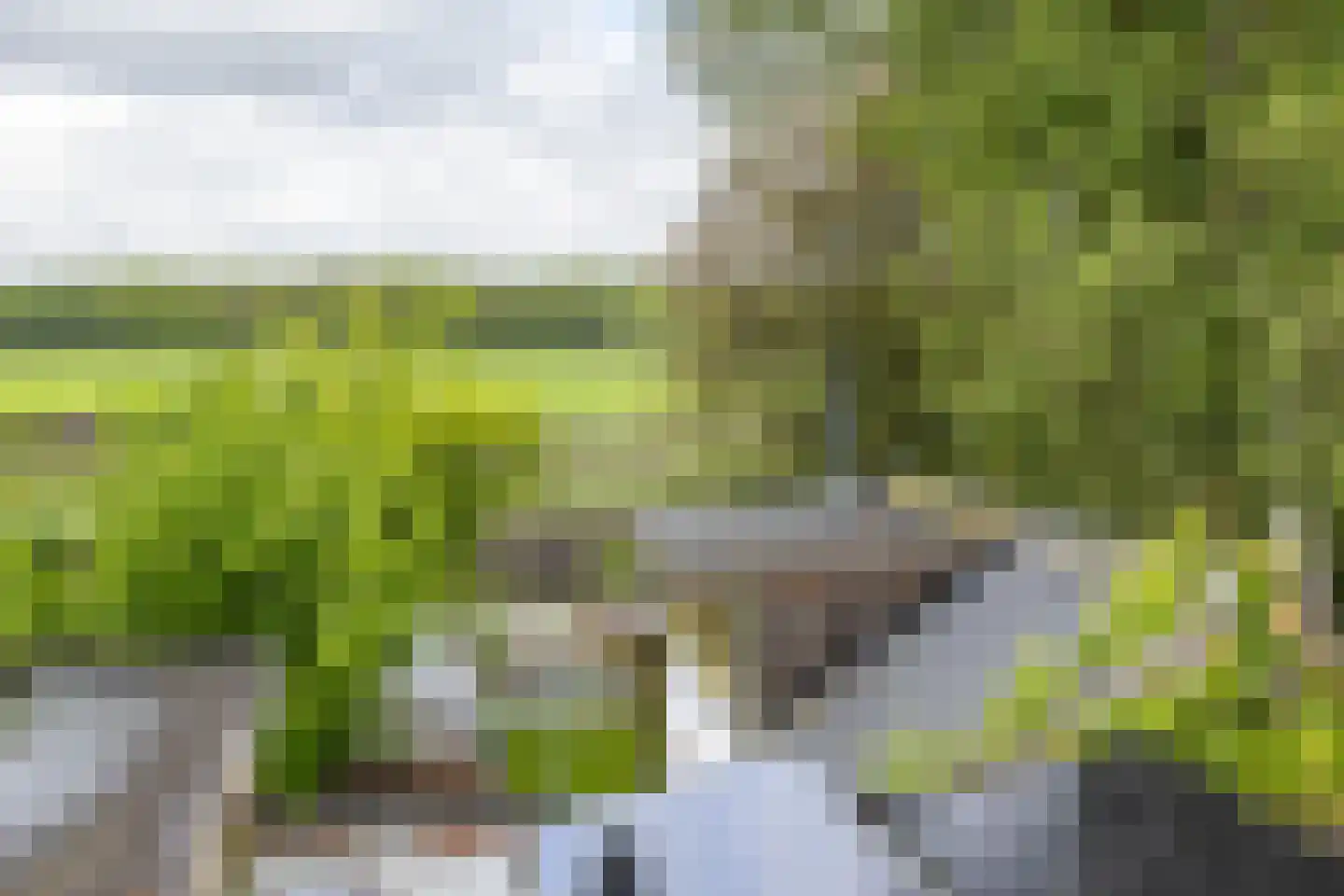 Nevelslaan 16 Westerbroek thumbnail 41