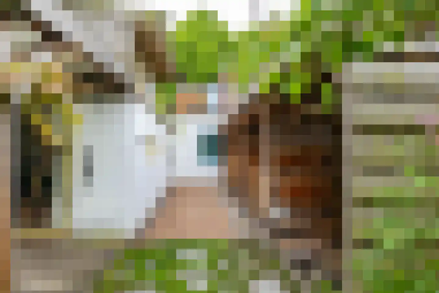 Nevelslaan 16 Westerbroek thumbnail 64