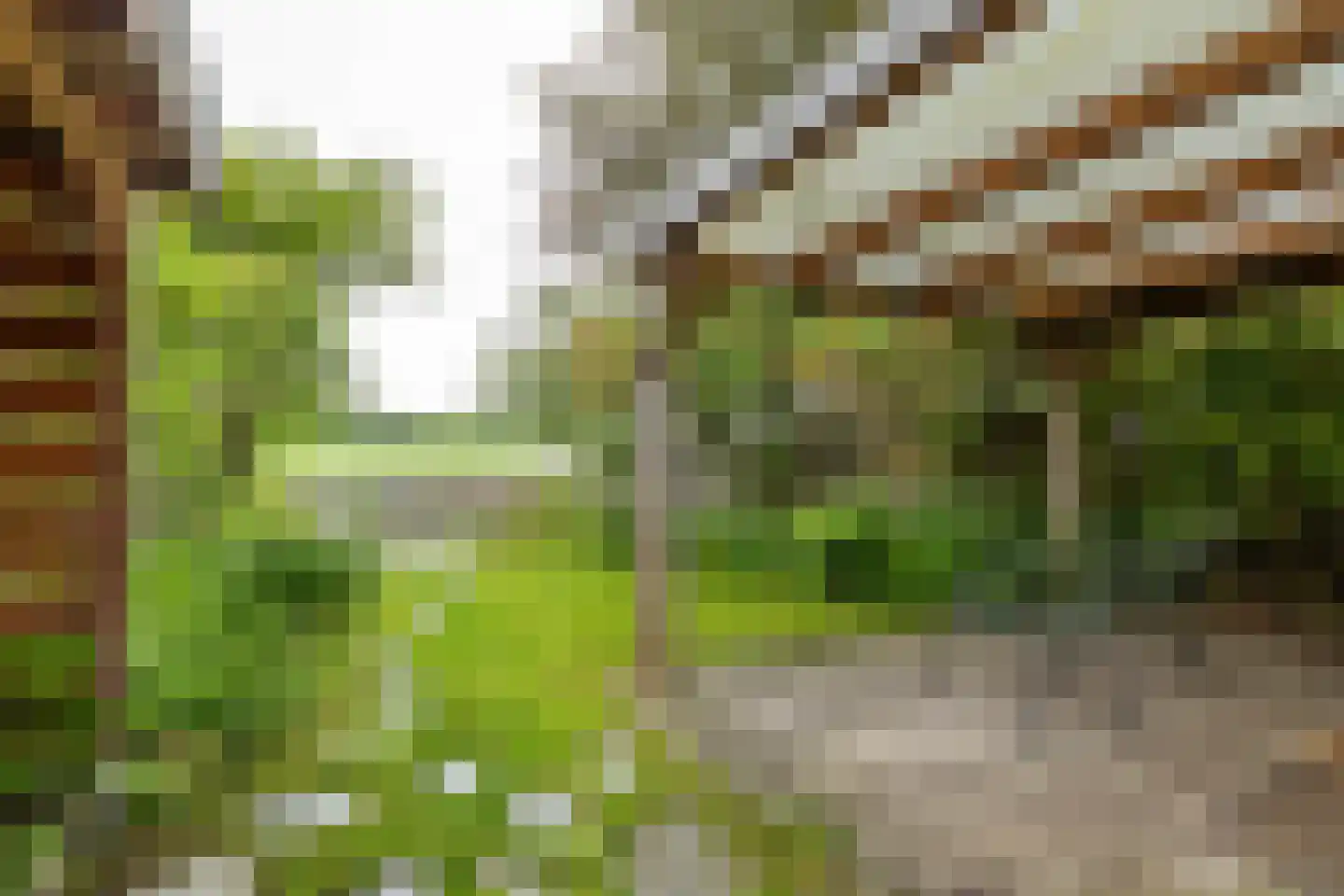 Nevelslaan 16 Westerbroek thumbnail 65