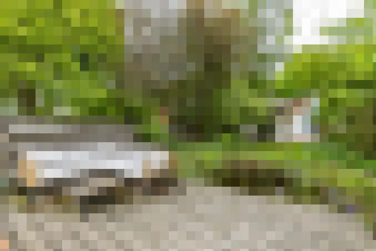 Nevelslaan 16 Westerbroek thumbnail 70
