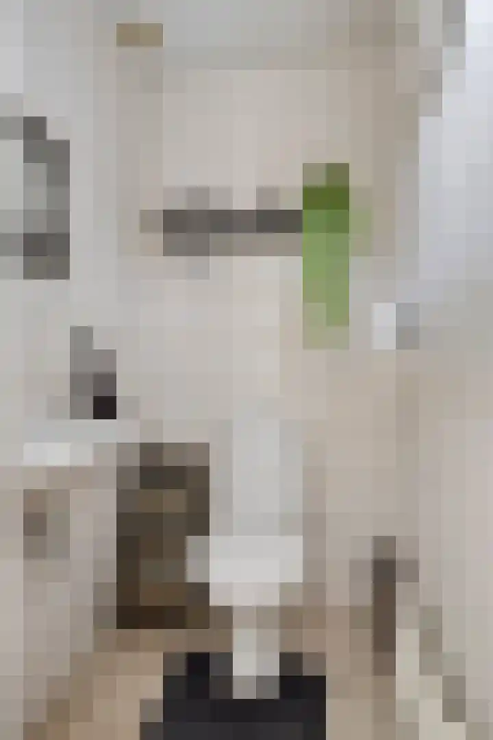 Nevenakker 14 Oirschot thumbnail 10