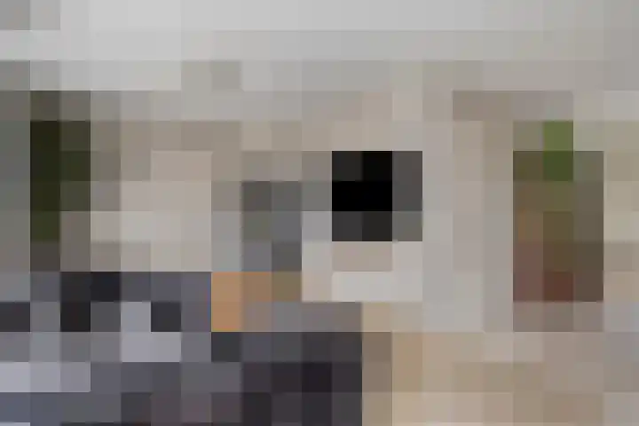 Nevenakker 14 Oirschot thumbnail 12
