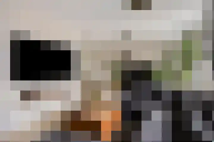 Nevenakker 14 Oirschot thumbnail 13