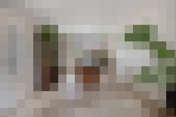 Nevenakker 14 Oirschot thumbnail 14
