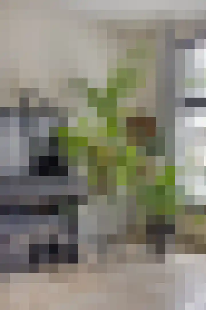 Nevenakker 14 Oirschot thumbnail 15