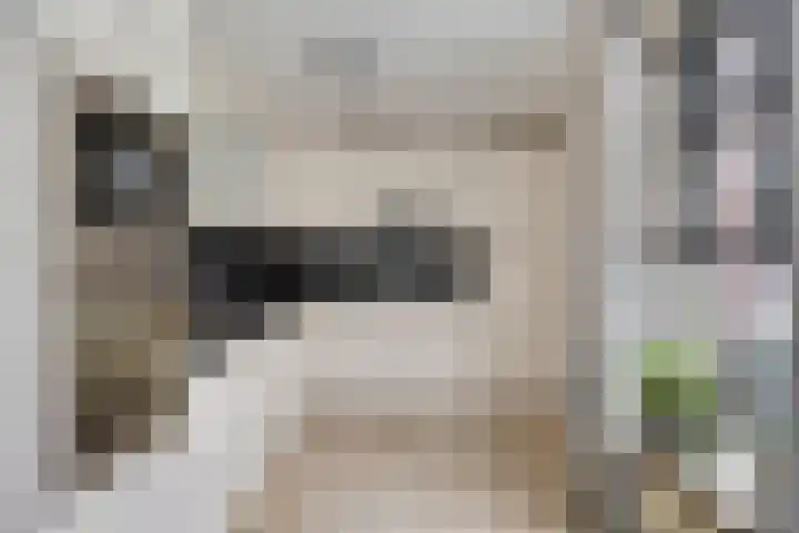 Nevenakker 14 Oirschot thumbnail 16