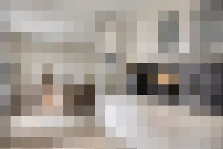 Nevenakker 14 Oirschot thumbnail 17