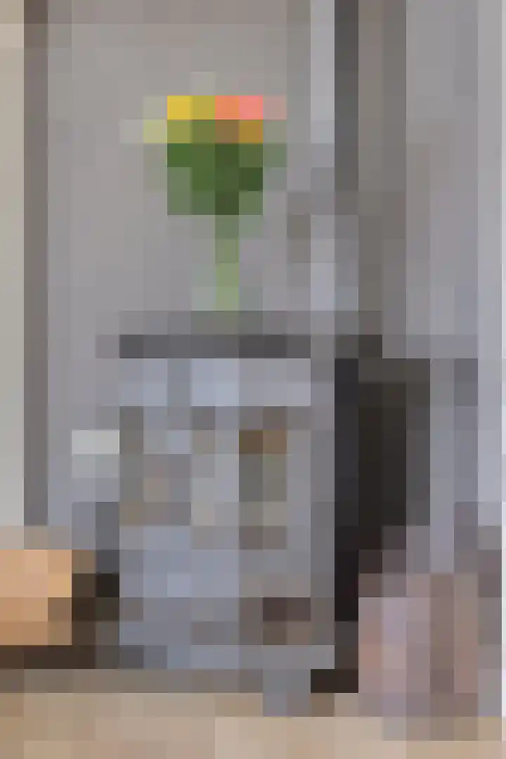 Nevenakker 14 Oirschot thumbnail 18