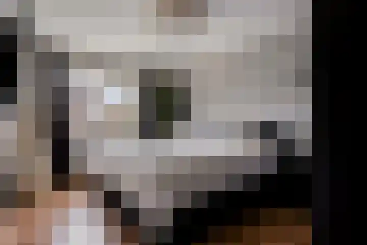 Nevenakker 14 Oirschot thumbnail 26