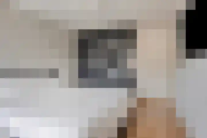 Nevenakker 14 Oirschot thumbnail 27