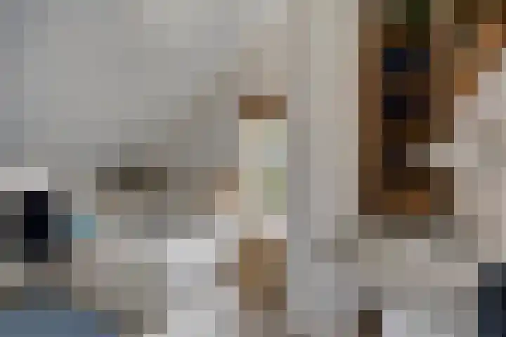 Nevenakker 14 Oirschot thumbnail 31