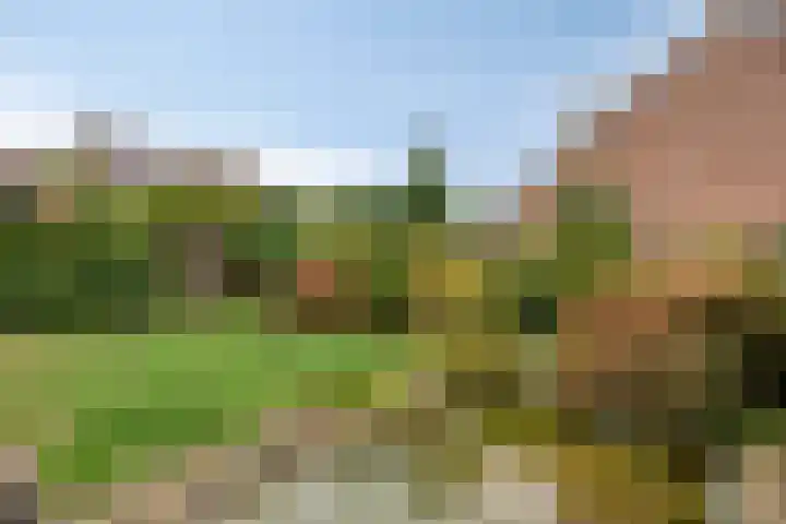 Nevenakker 14 Oirschot thumbnail 38