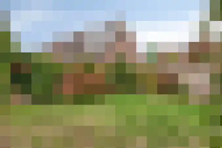 Nevenakker 14 Oirschot thumbnail 39