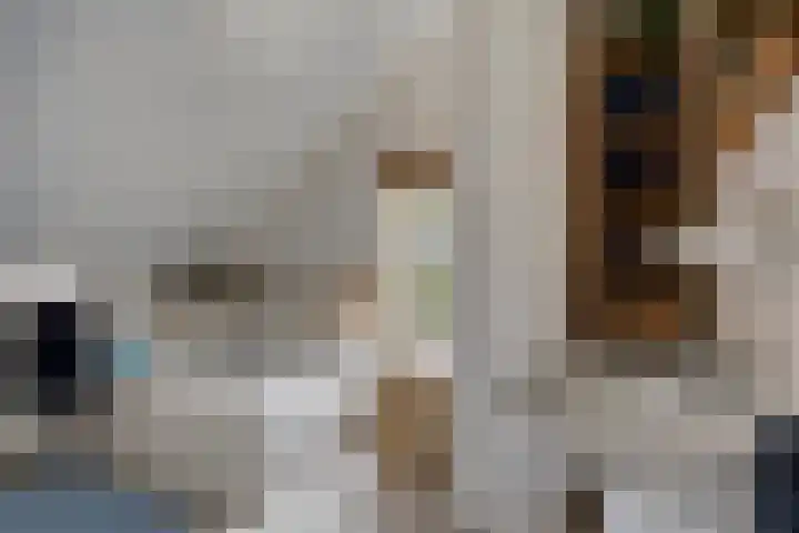 Nevenakker 14 Oirschot thumbnail 4