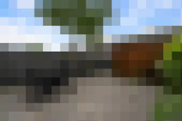 Nevenspoor 15 Assendelft thumbnail 11