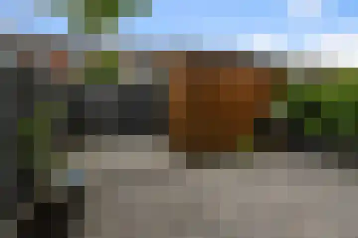 Nevenspoor 15 Assendelft thumbnail 12