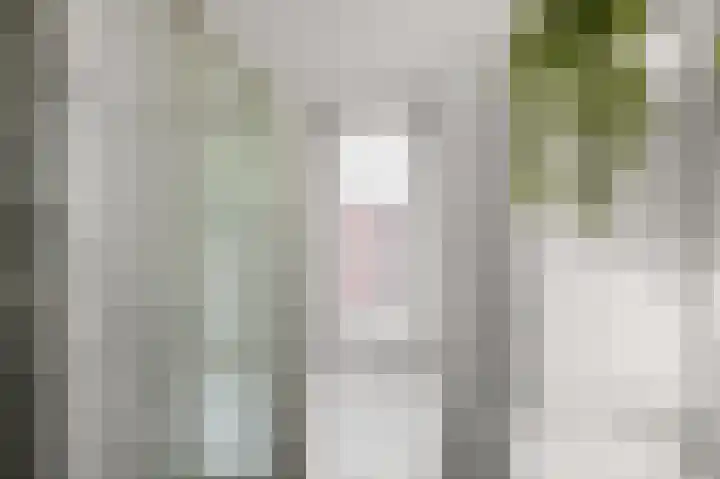 Nevenspoor 15 Assendelft thumbnail 25