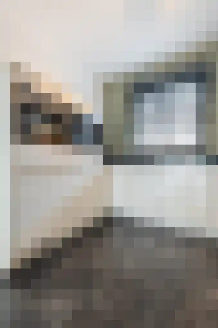 Nevenspoor 17 Assendelft thumbnail 13