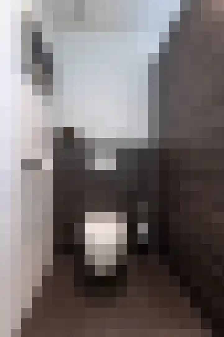 Nevenspoor 17 Assendelft thumbnail 30