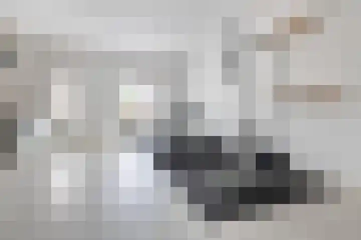 Nevenspoor 17 Assendelft thumbnail 33