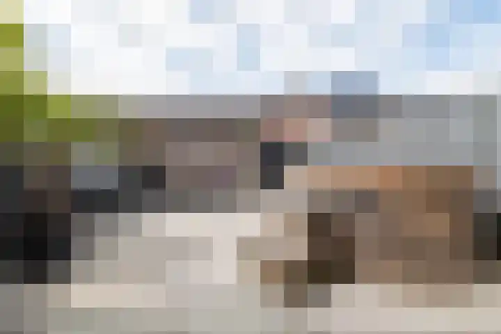 Nevenspoor 17 Assendelft thumbnail 4