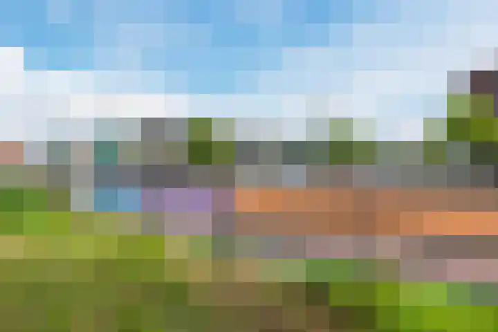 Nevenspoor 17 Assendelft thumbnail 42