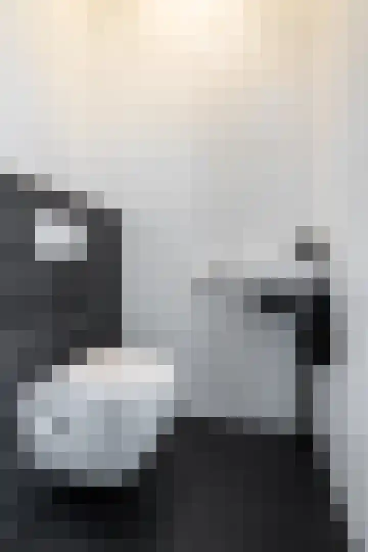 Nevenspoor 17 Assendelft thumbnail 7