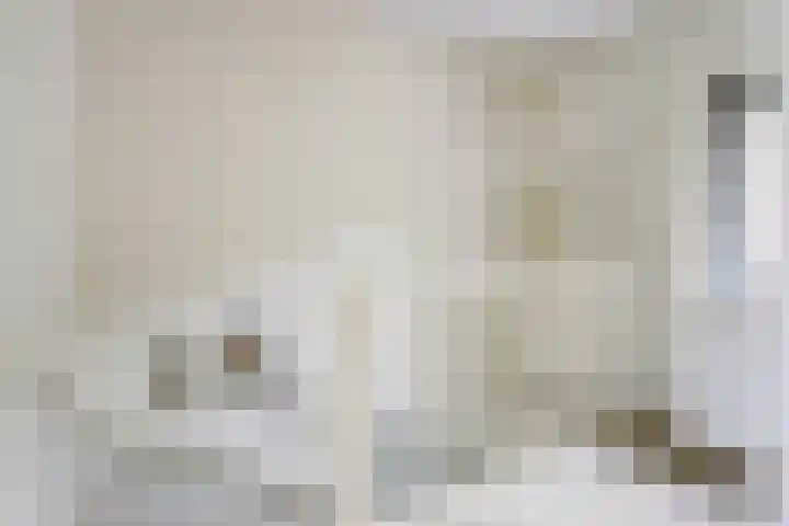 Nevenspoor 18 Assendelft thumbnail 19