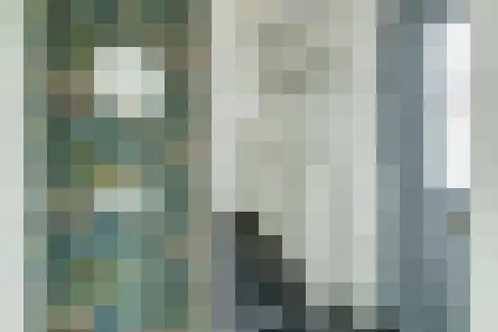 Nevenspoor 18 Assendelft thumbnail 9