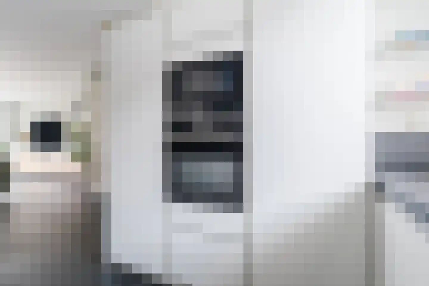 Nevenspoor 5 Assendelft thumbnail 12