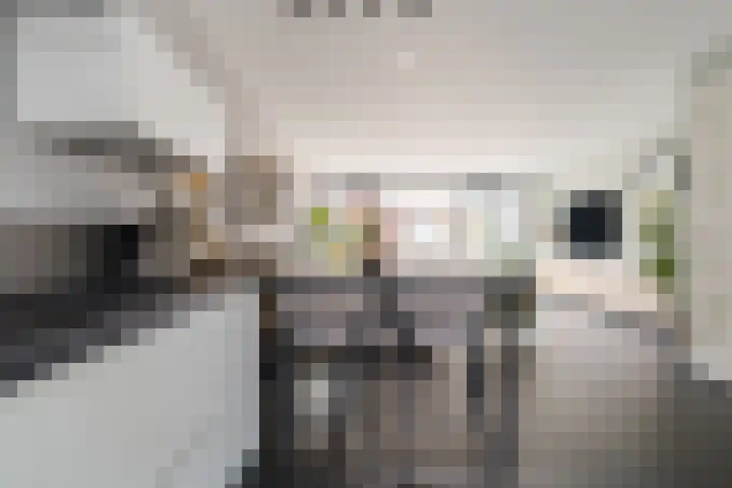 Nevenspoor 5 Assendelft thumbnail 14