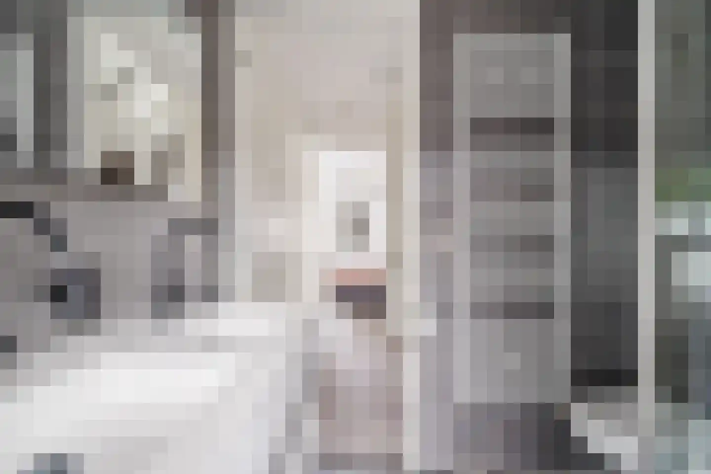 Nevenspoor 5 Assendelft thumbnail 25