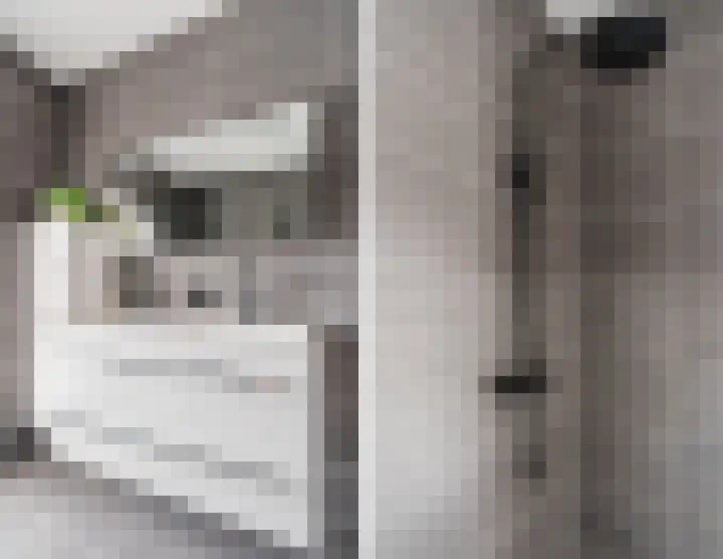 Nevenspoor 5 Assendelft thumbnail 26