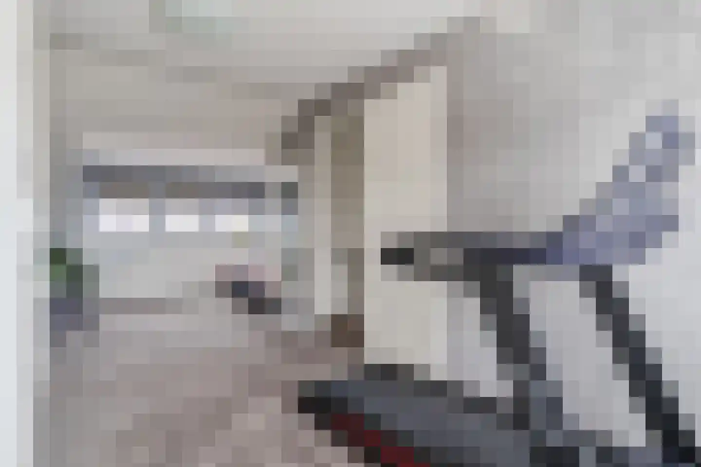 Nevenspoor 5 Assendelft thumbnail 30
