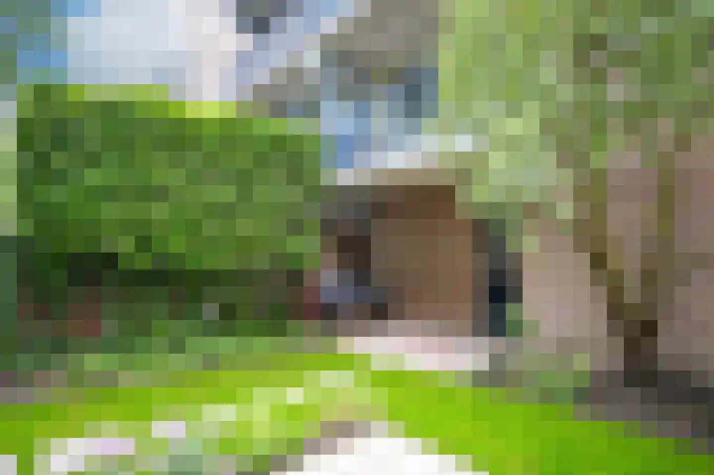 New Yorkdreef 15 Utrecht thumbnail 6