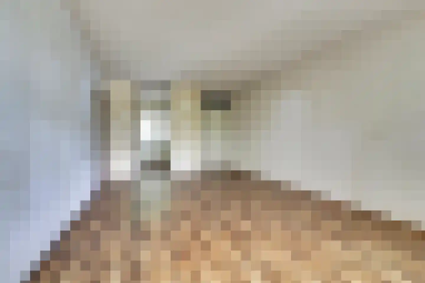 New Yorkdreef 17 Utrecht thumbnail 8