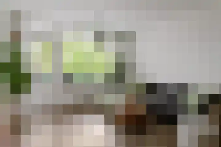 New Yorkdreef 29 Utrecht thumbnail 10