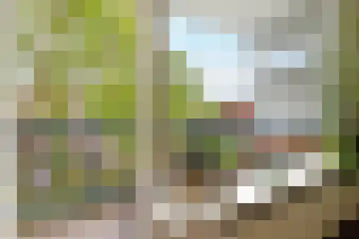 New Yorkdreef 29 Utrecht thumbnail 21