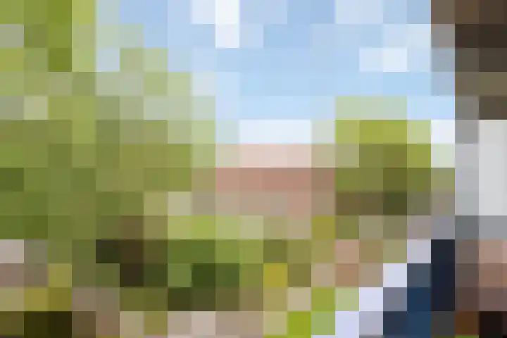 New Yorkdreef 29 Utrecht thumbnail 24