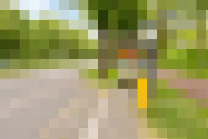 New Yorkdreef 29 Utrecht thumbnail 26