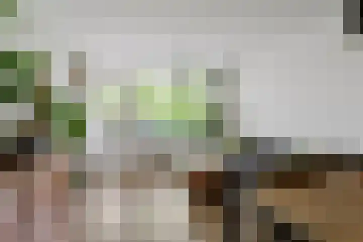 New Yorkdreef 29 Utrecht thumbnail 4