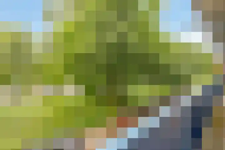 New Yorkdreef 29 Utrecht thumbnail 7