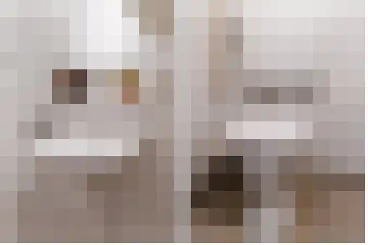 New Yorkdreef 29 Utrecht thumbnail 9