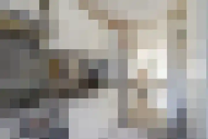 New Yorkdreef 41 Utrecht thumbnail 20