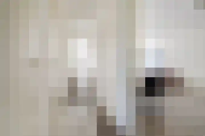 New Yorkdreef 41 Utrecht thumbnail 21