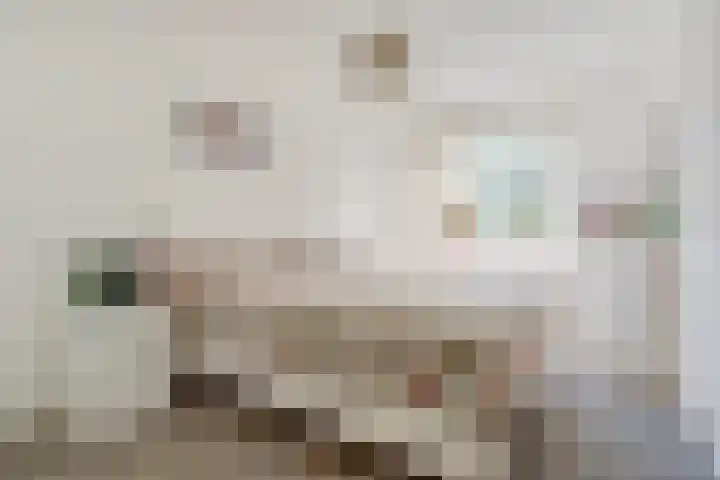 New Yorkdreef 41 Utrecht thumbnail 23